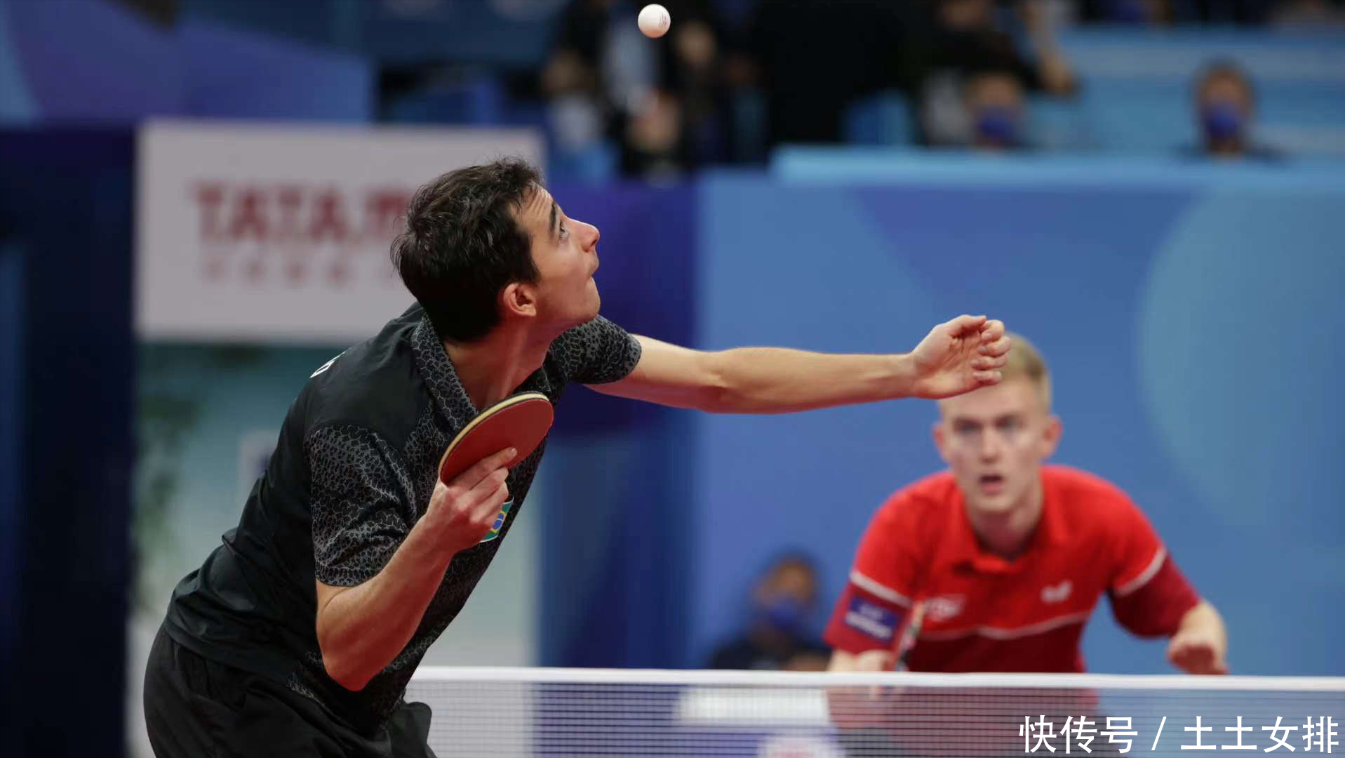 深夜的几条 深夜的几条